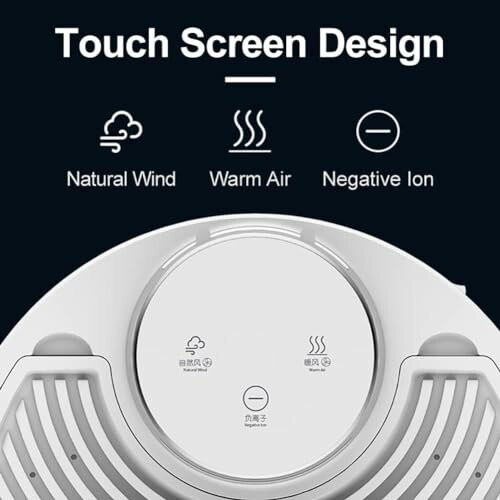 Touch screen design of air purifier with natural wind, warm air, and negative ion options.